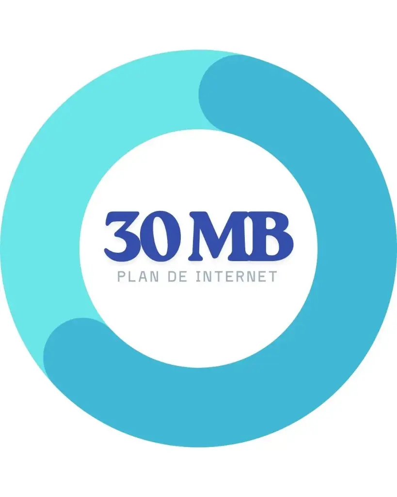 SERVICIO DE INTERNET 30 MB